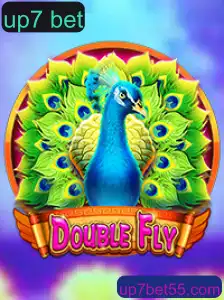 Descobrindo o Mundo de DoubleFly e a Dinâmica do Jogo